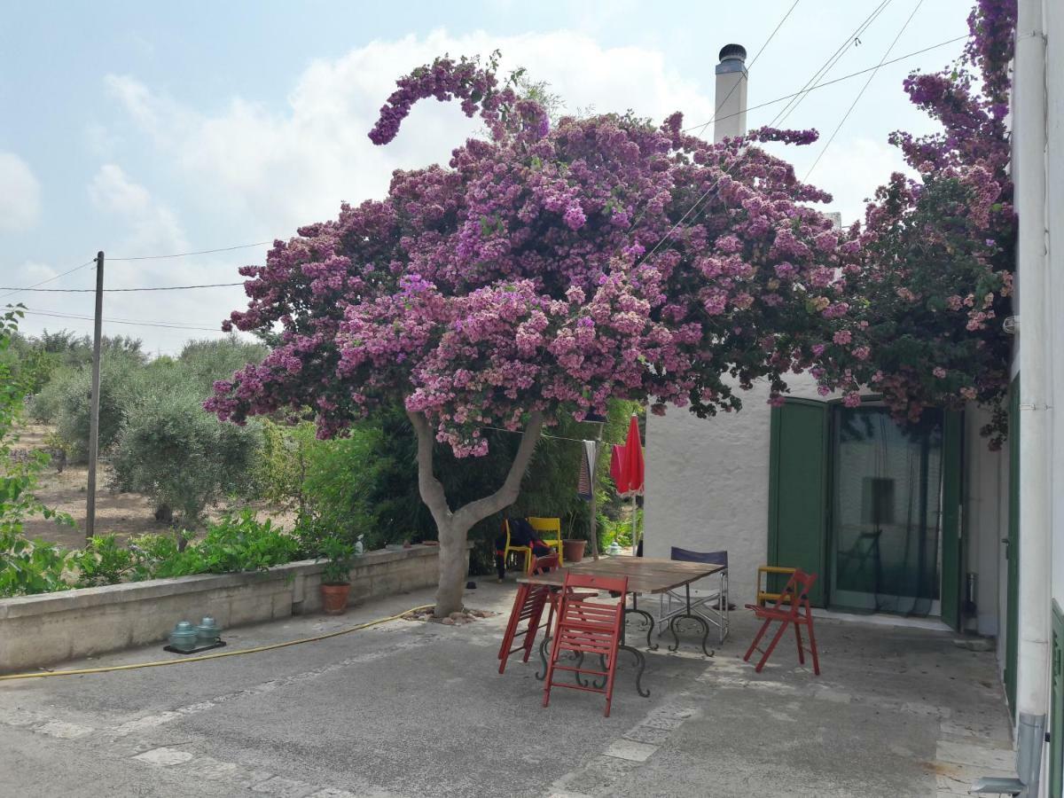 Fra il Glicine e il Sambuco Villa Monopoli Eksteriør bilde