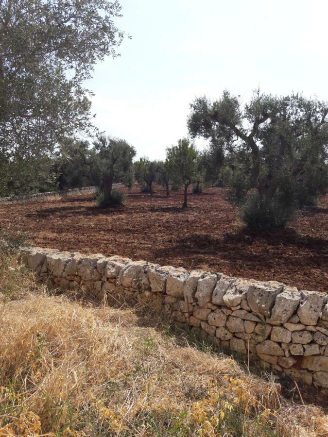 Fra il Glicine e il Sambuco Villa Monopoli Eksteriør bilde